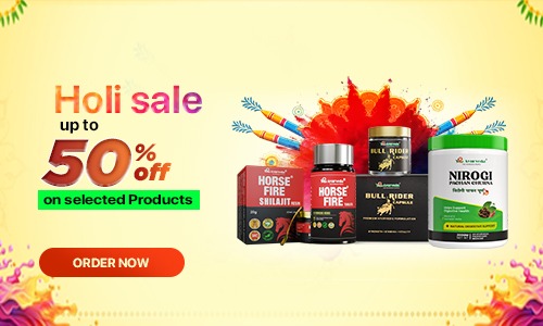 holi sale