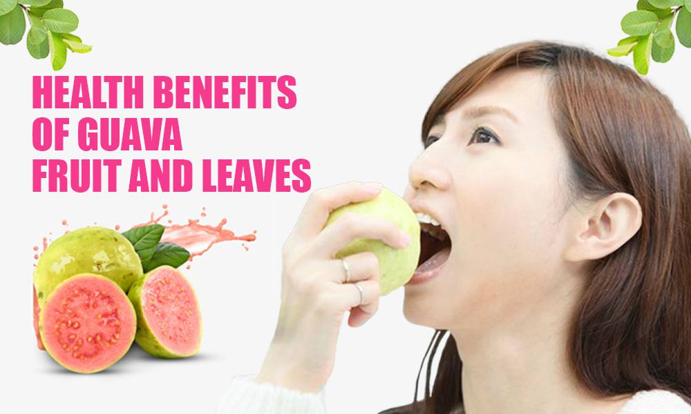Health Benefits of Guava and Guava Leaves