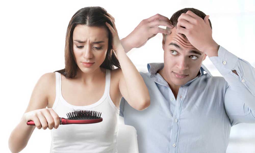 shikakai benefits for hair fall in hindi