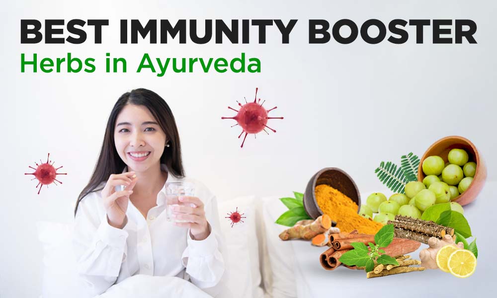 6 Best Immunity Booster Herbs in Ayurveda
