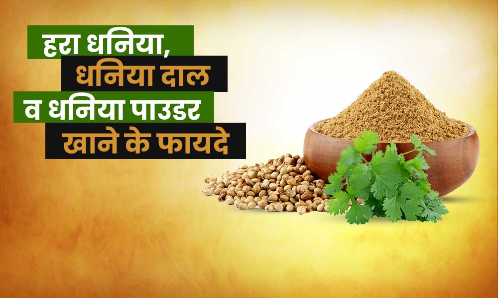 हरा धनिया, धनिया दाल व धनिया पाउडर खाने के फायदे- Dhaniya Benefits in Hindi