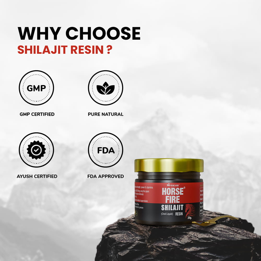 Horse Fire Shilajit Resin | Himalayan Origin Pure 20g