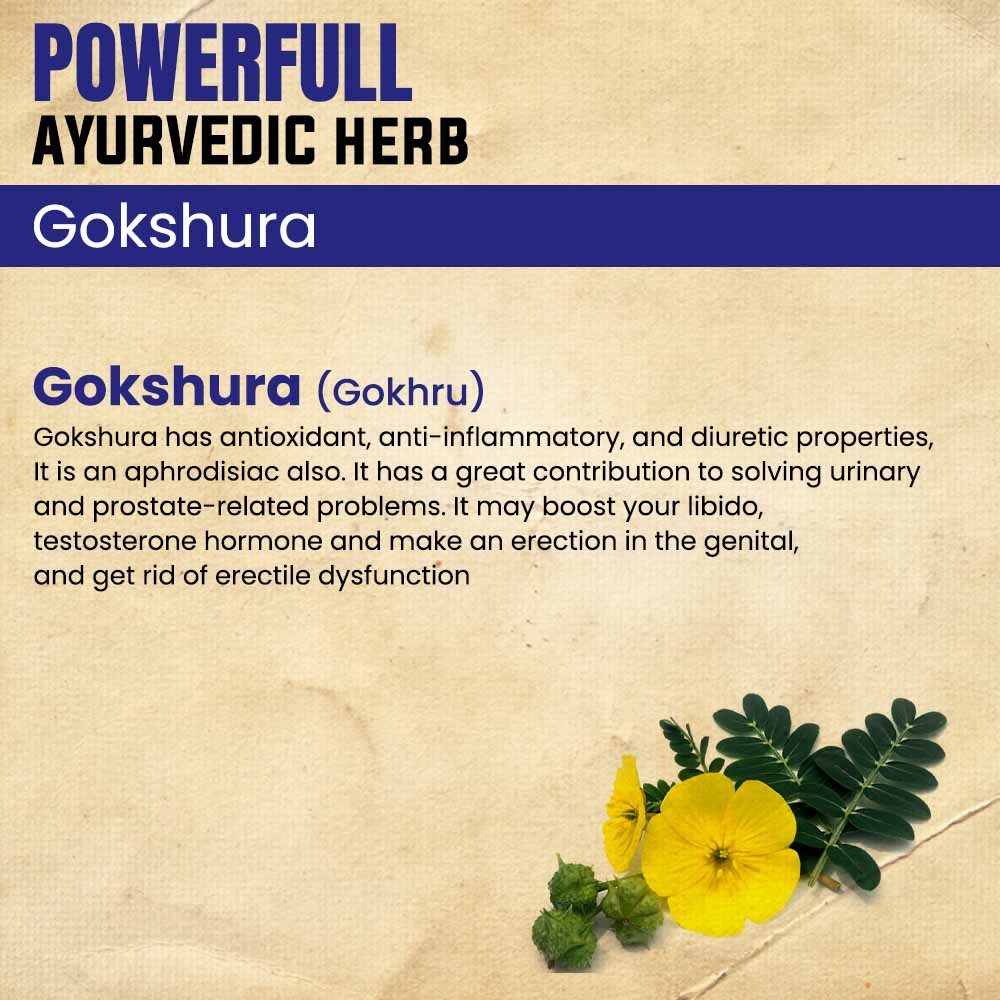 Gokhru Powder- Best Ayurvedic Medicine for Sexual Power & Urinary Disease
