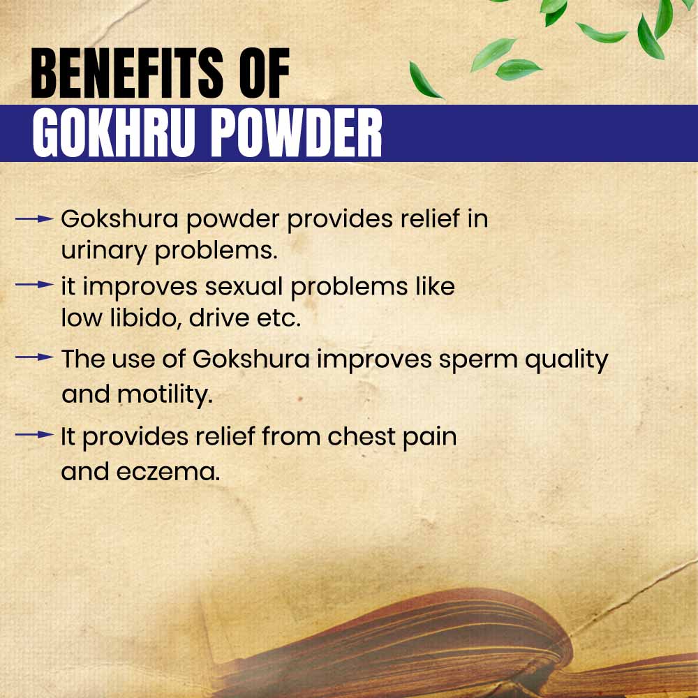 Gokhru Powder- Best Ayurvedic Medicine for Sexual Power & Urinary Disease