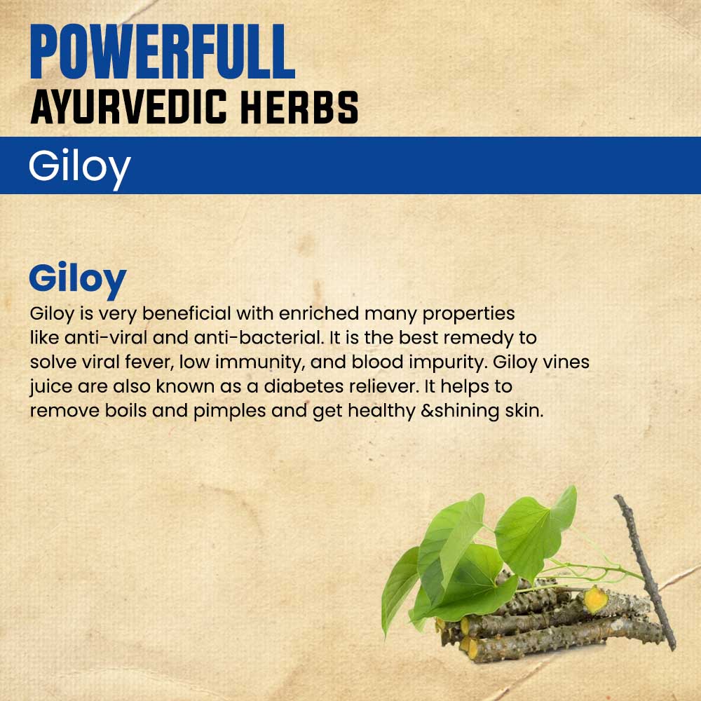 Giloy Tablet- Best Ayurvedic immunity booster and blood purifier