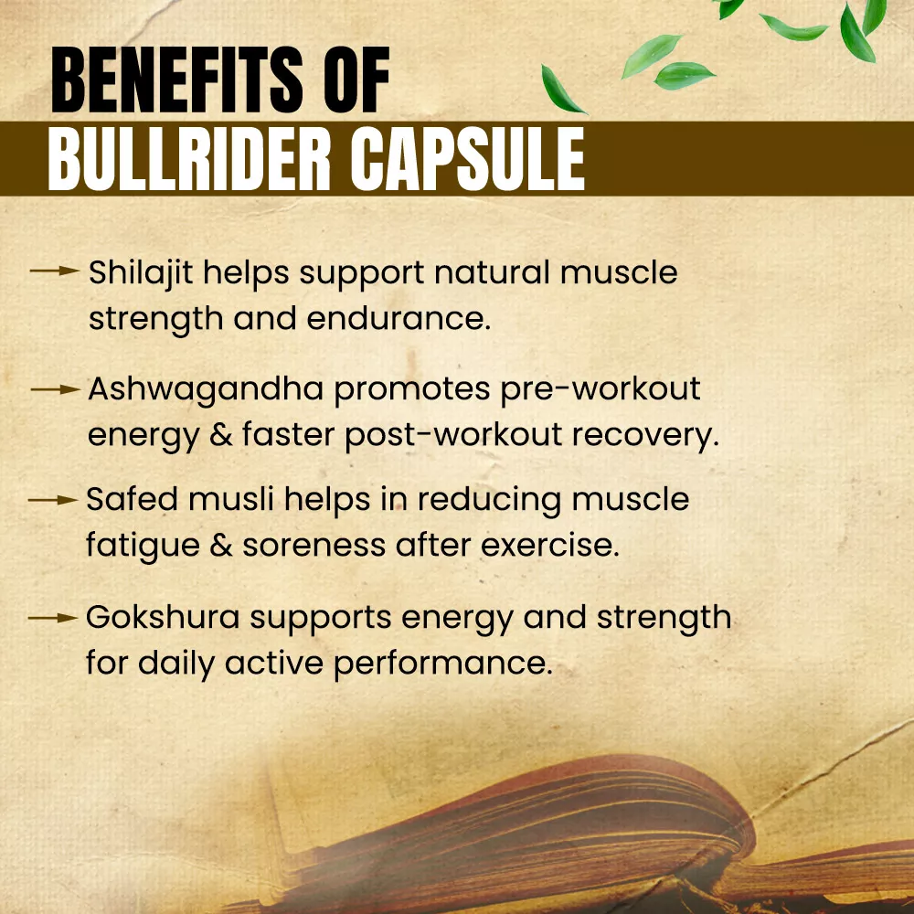 Bull Rider Capsule- Supports strength & muscle gain