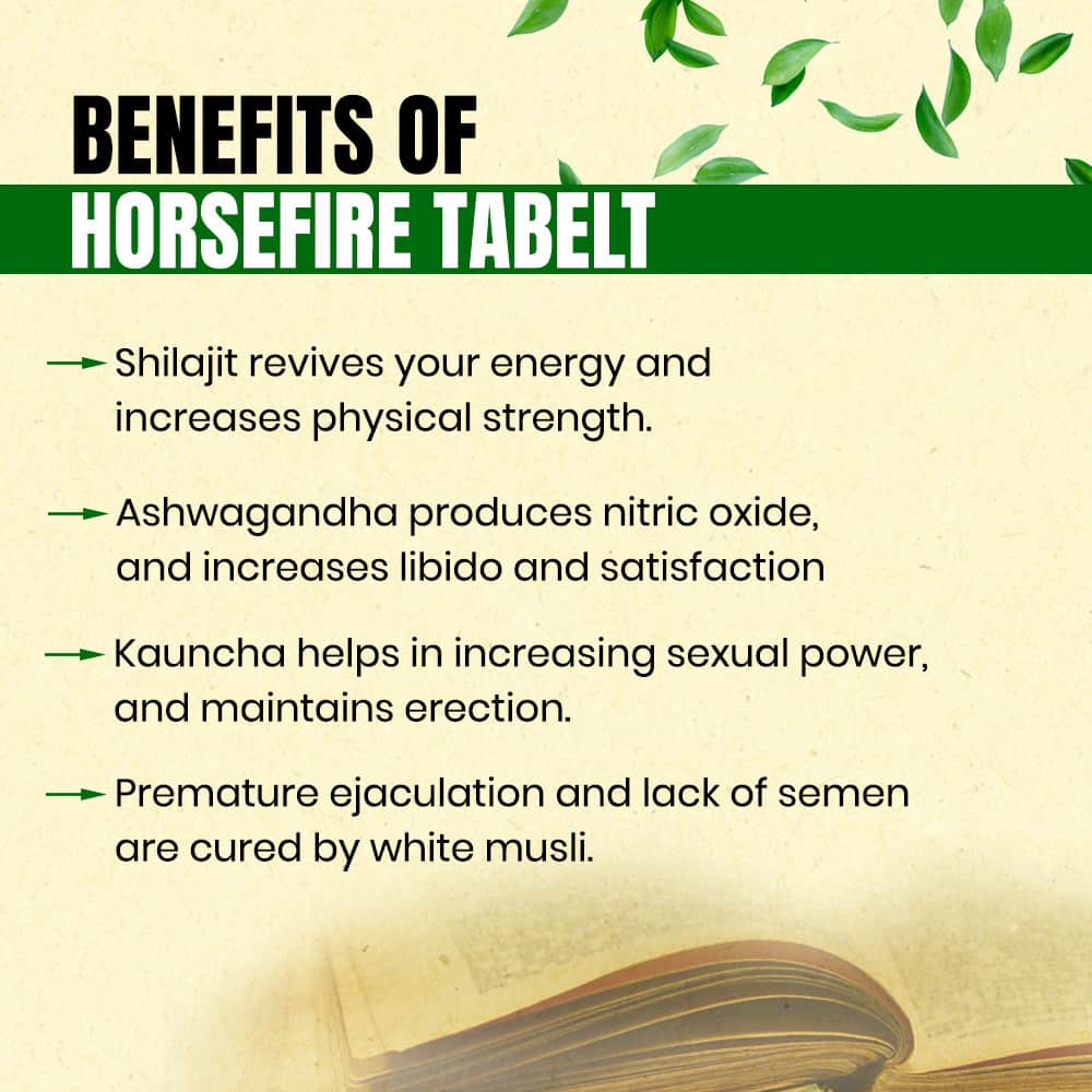 Horse Fire Tablets- Best Ayurvedic Men Stamina Booster Medicine in Bed